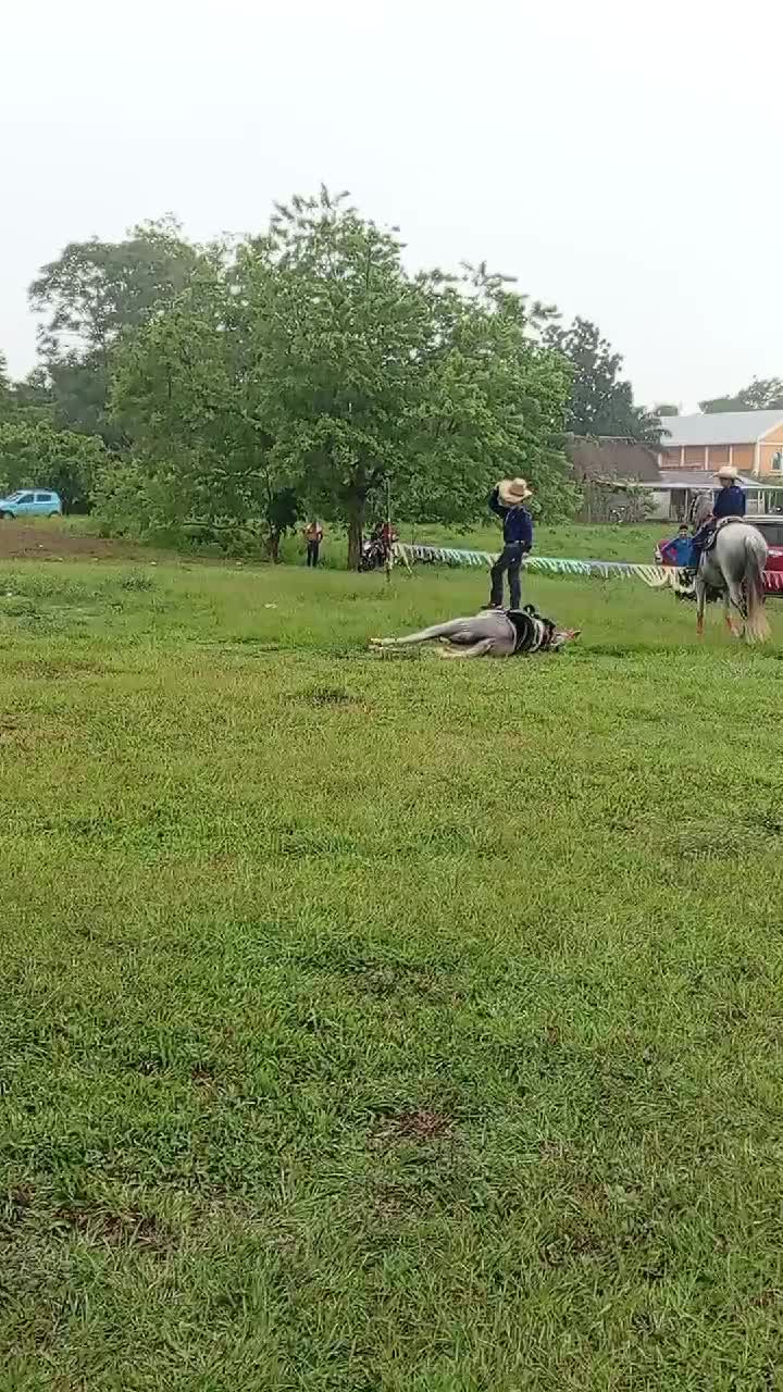 @Aurora
