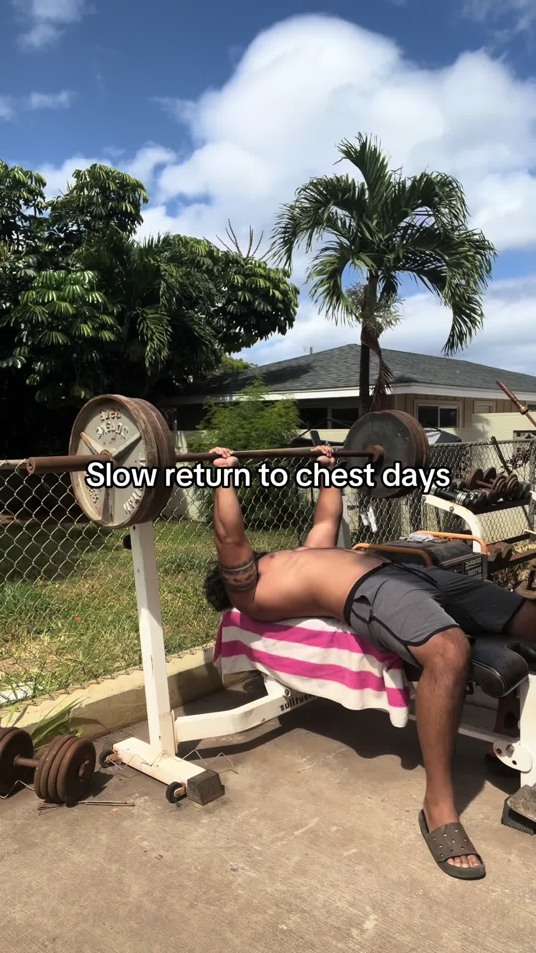 @AbsoluteBulla