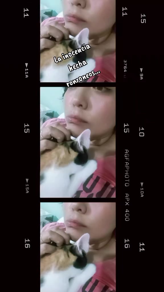 @๐โจ๐ท๐๐๐๐๐๐ โจ๐