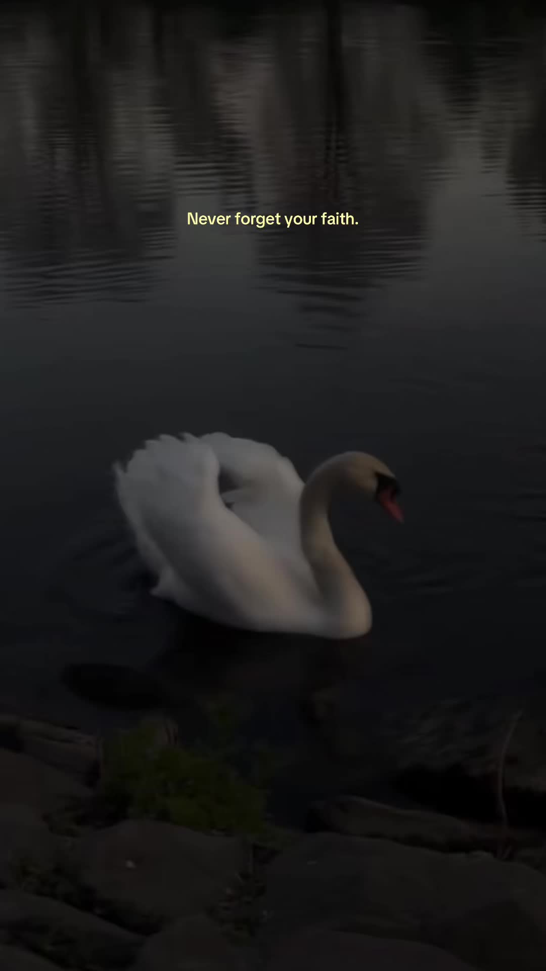 @NurAlQalb