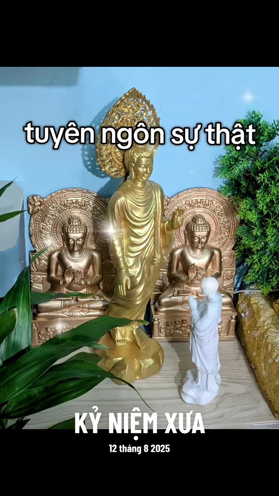 @TK Bảo &Acirc;n