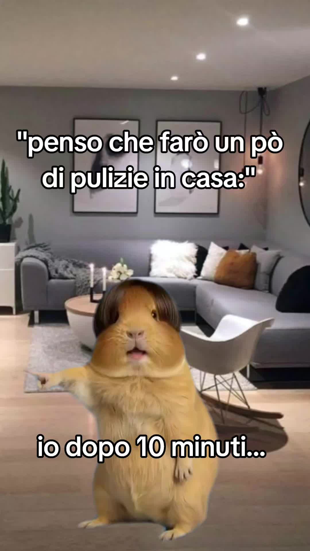 @Stefano Cr80