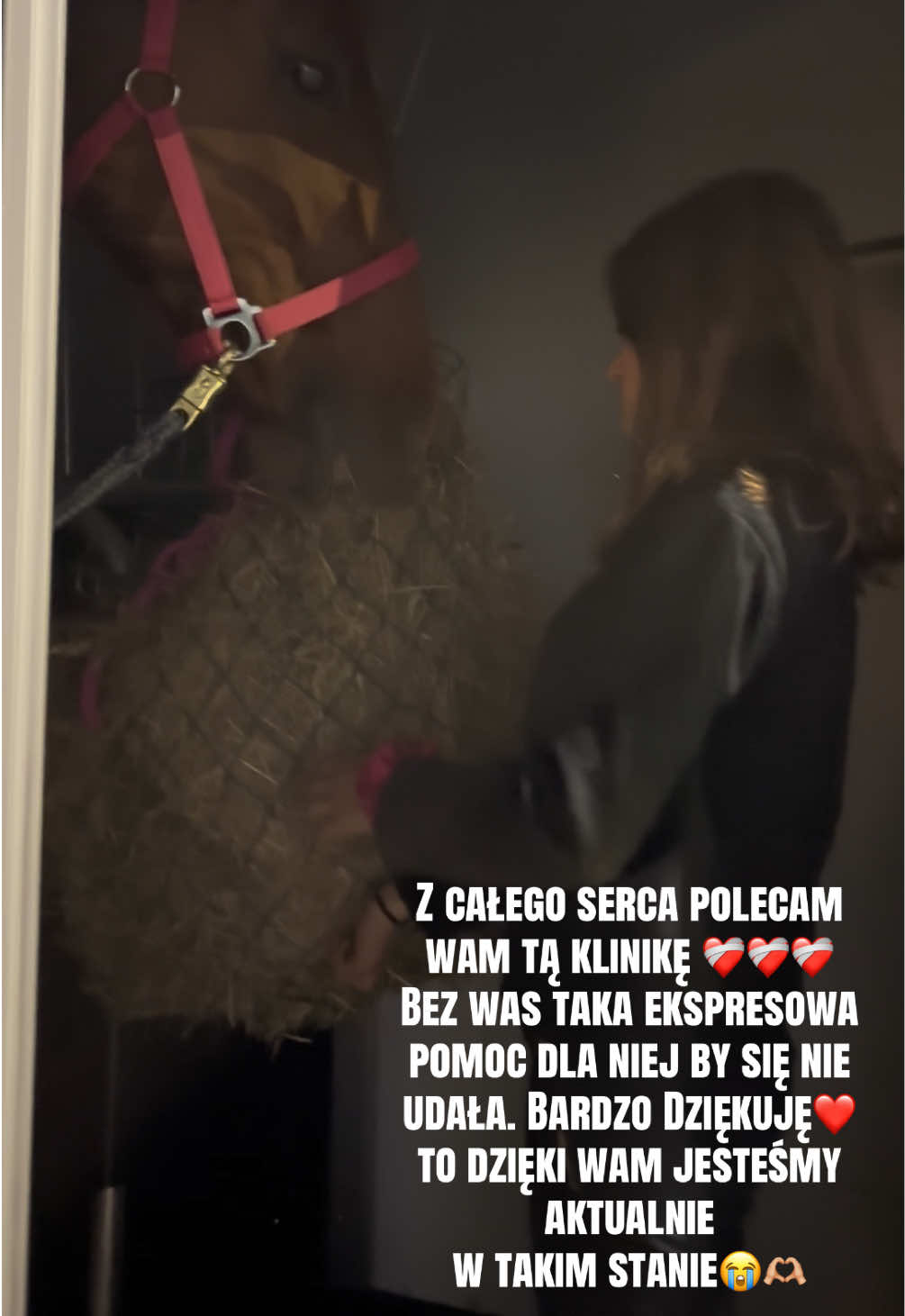 @Harmonia Jeździectwa