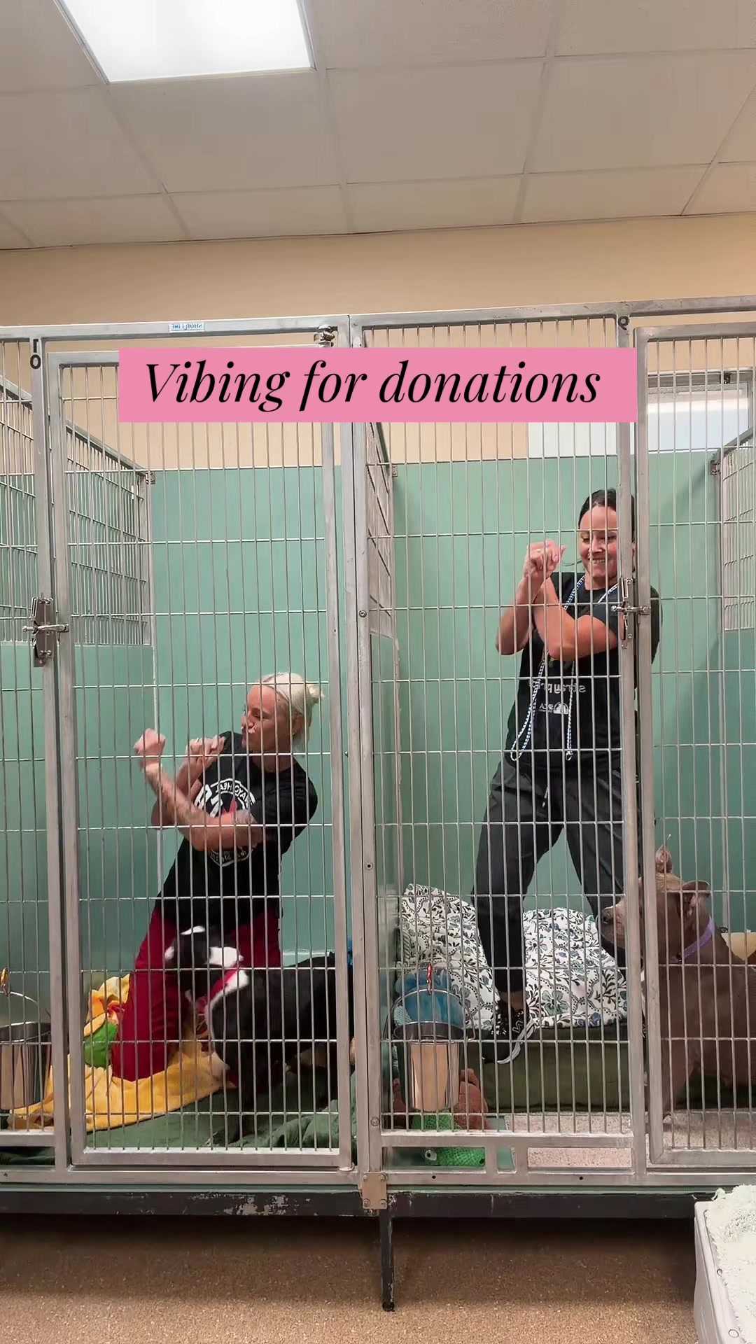 @2vettechs