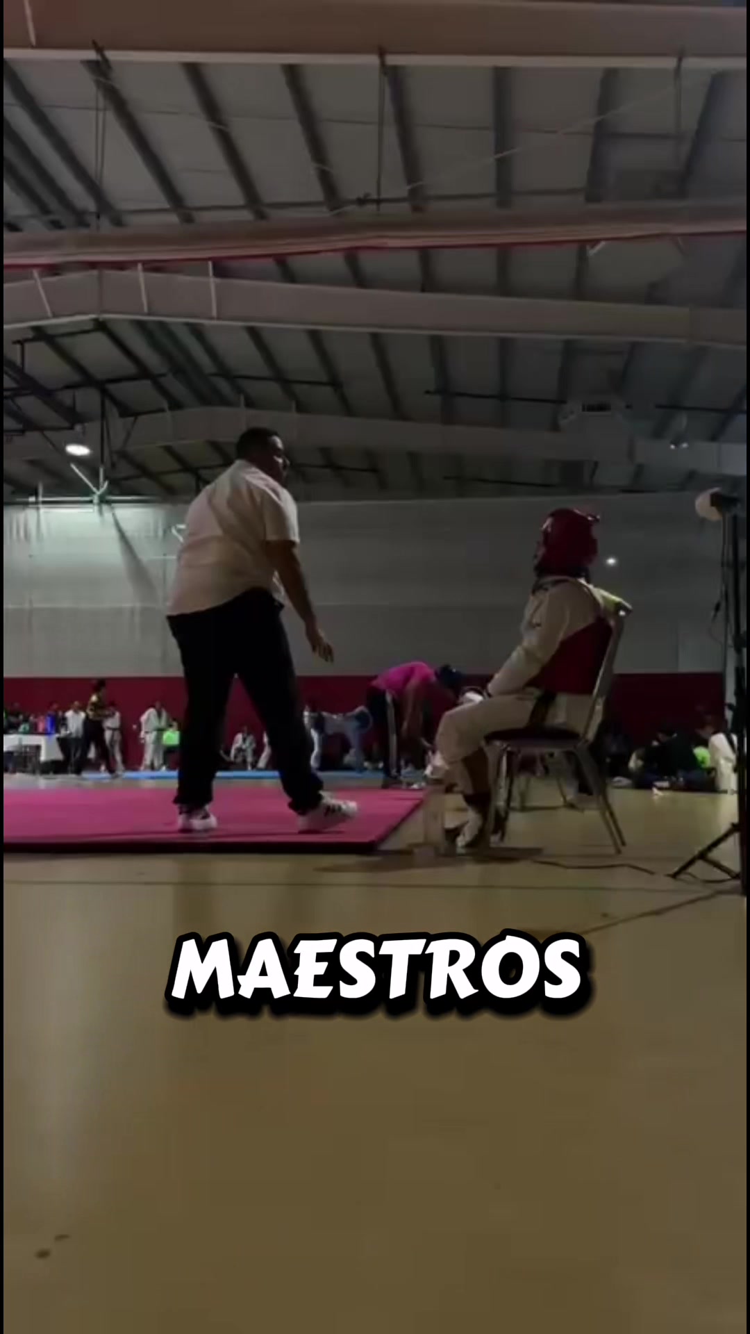 @taekwondolionsteam