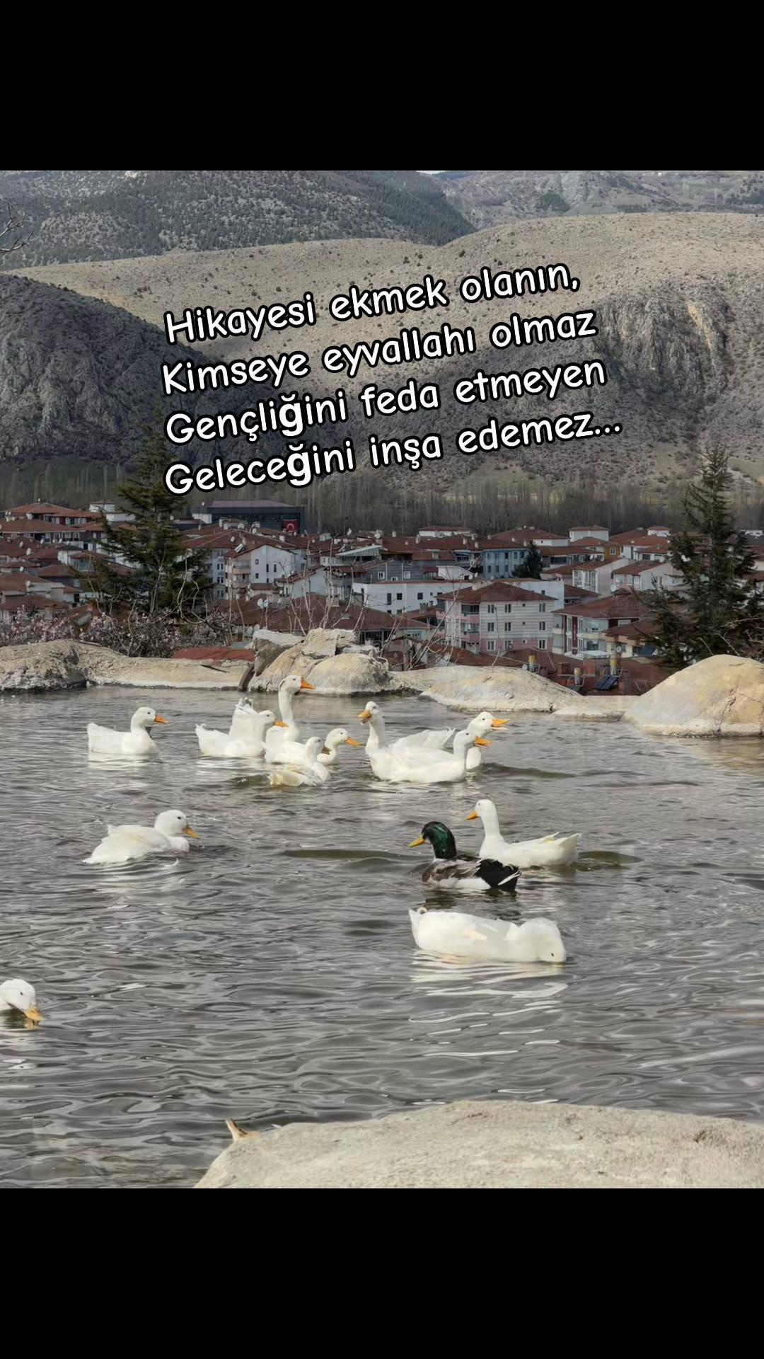 @〰️&bull;.🤍58T&uuml;lay34🤍.&bull;〰️