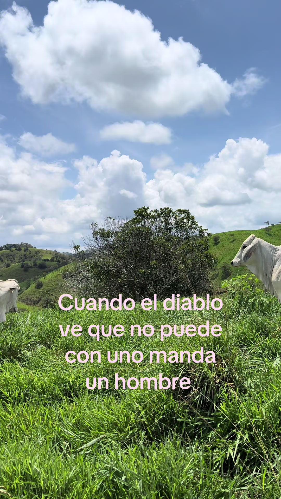 @juanamunera