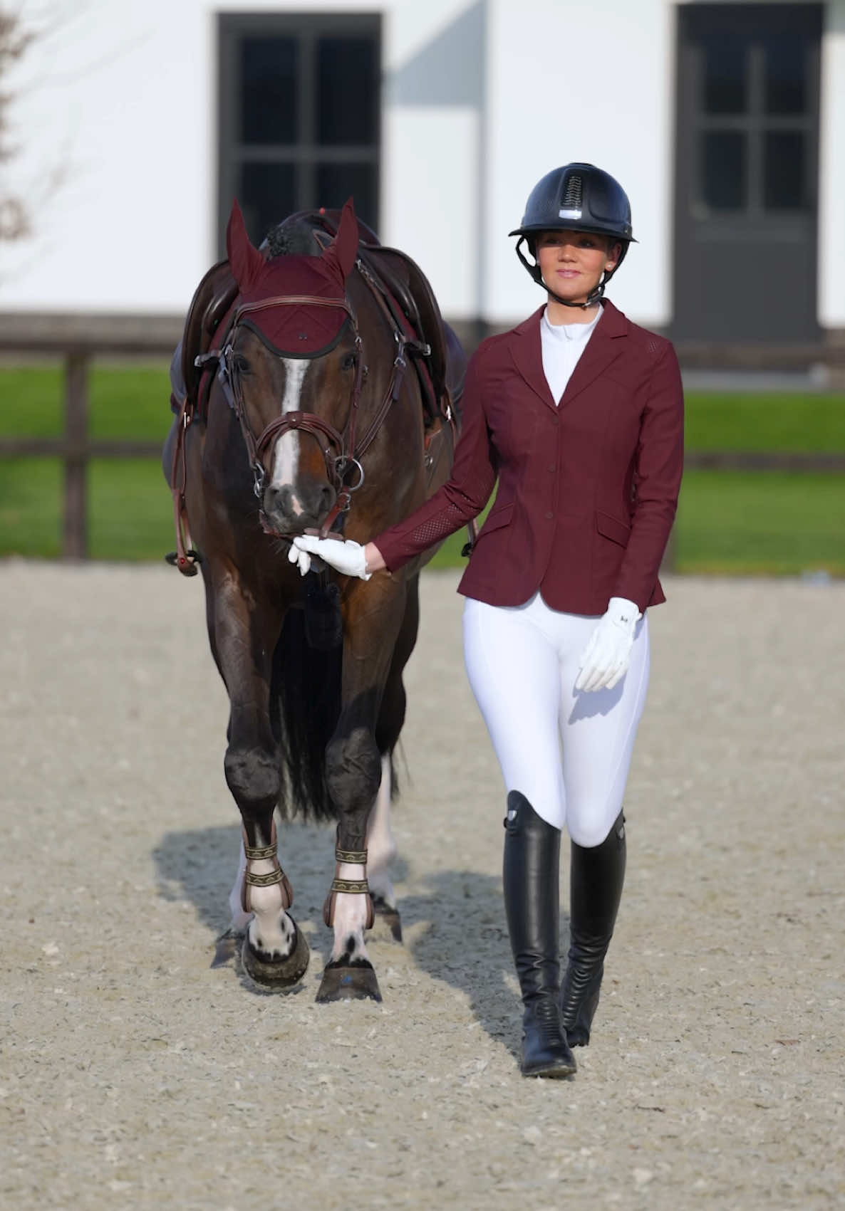 @Maximilian Equestrian