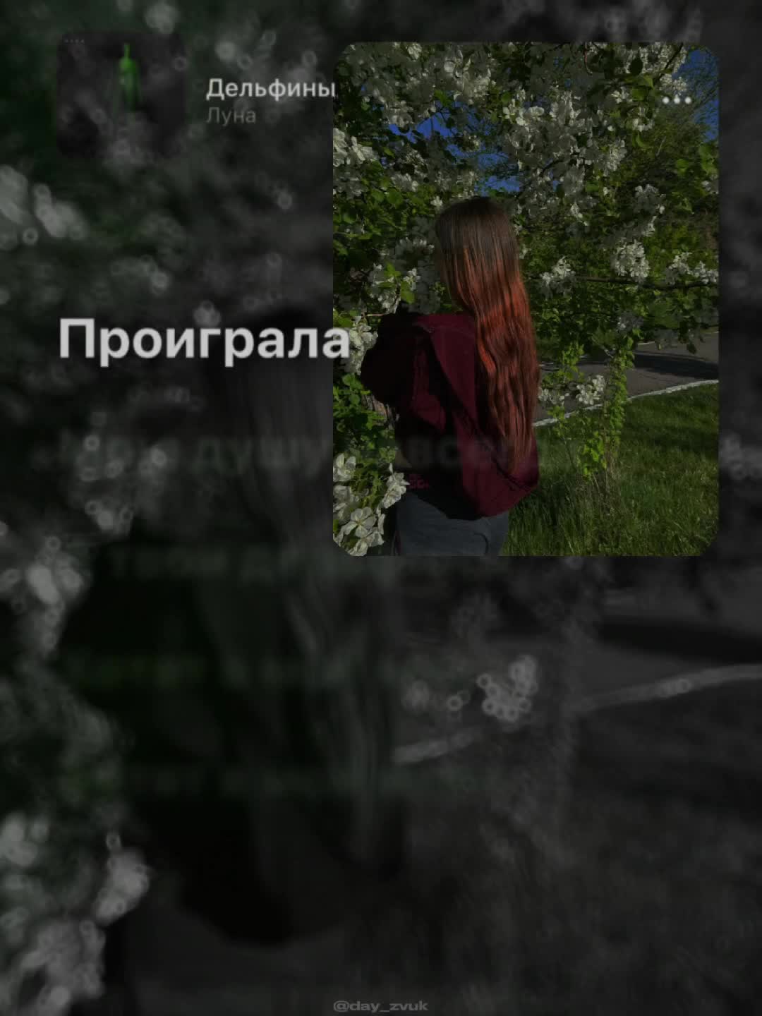@Smolina1999@