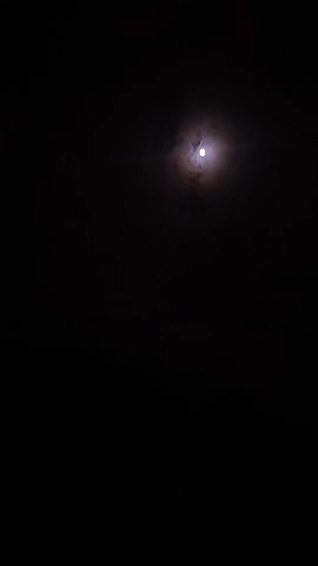 @Ализамин Гарибов