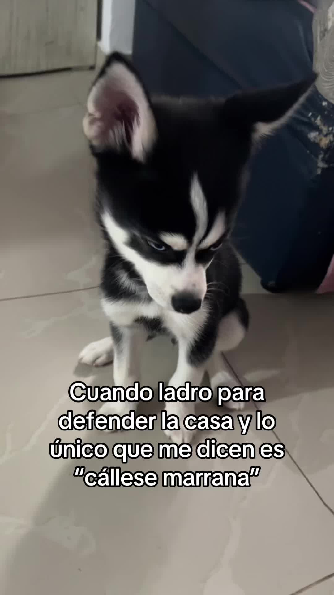 @Giovanna Garzon