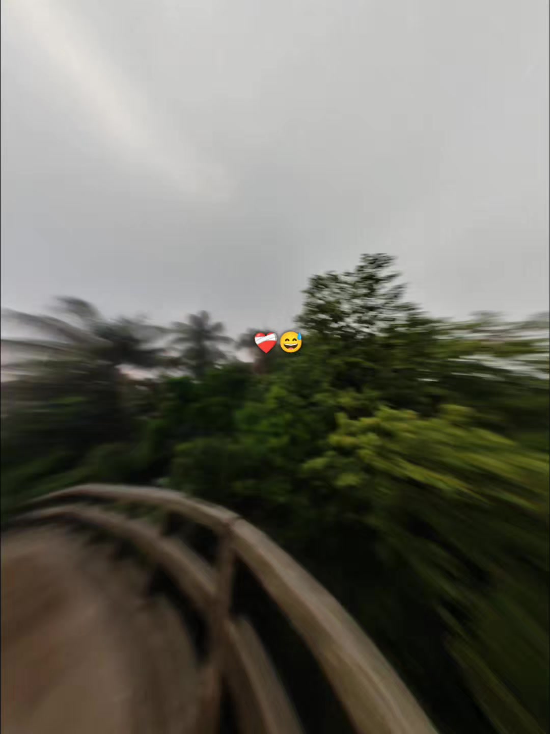 @᙭ᴀꜰɪᑎ 🐊