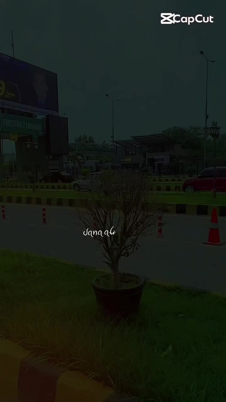 @SANa Ali🥰