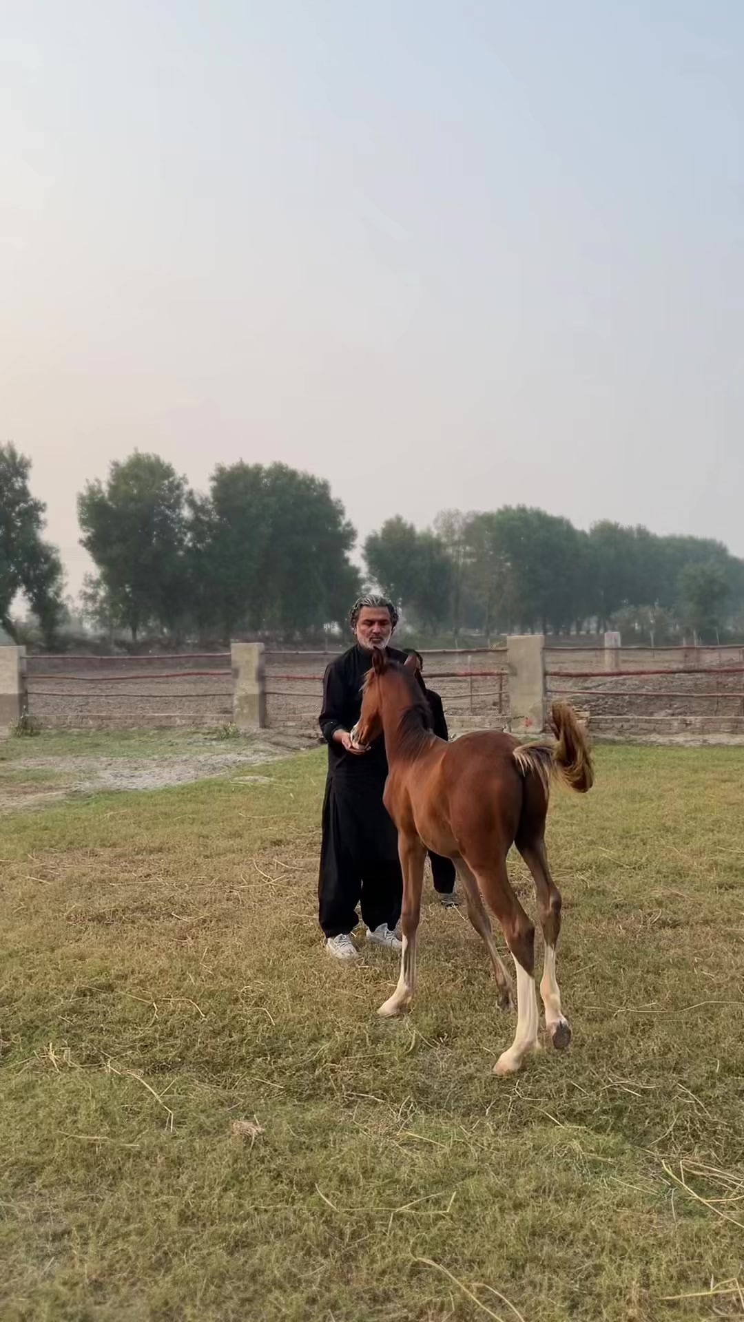 @Najaf Ali Memon 👑