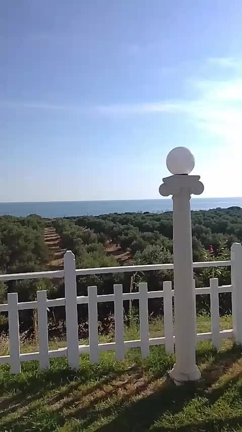 @deborahsharon