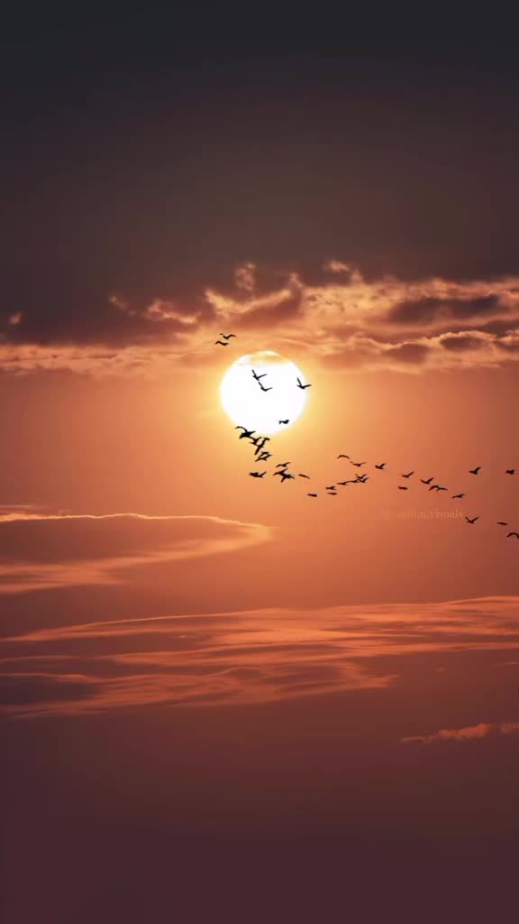 @جوري اسعد 902