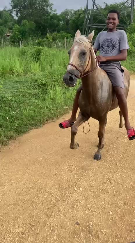 @El tal caballista ese 🤠