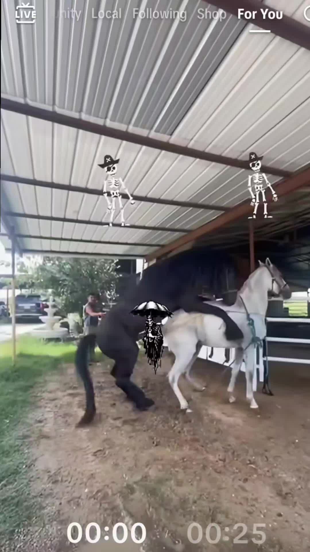 @RANCHOROSAS