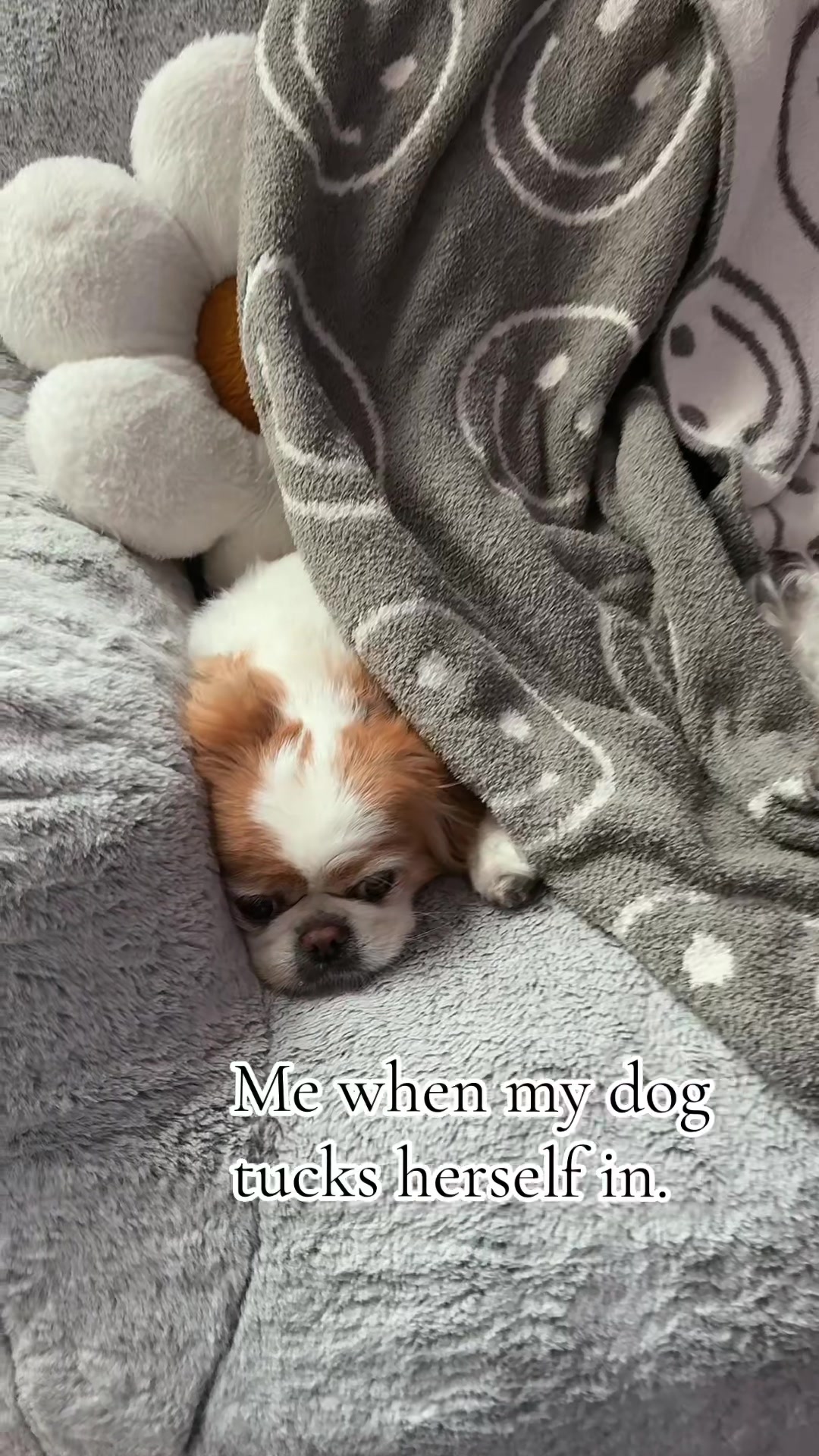 @Danielle Paigen