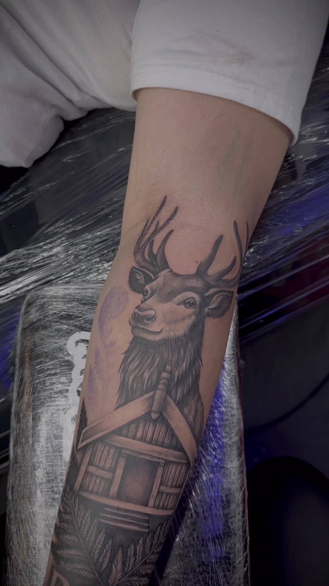 @Apanui.ink