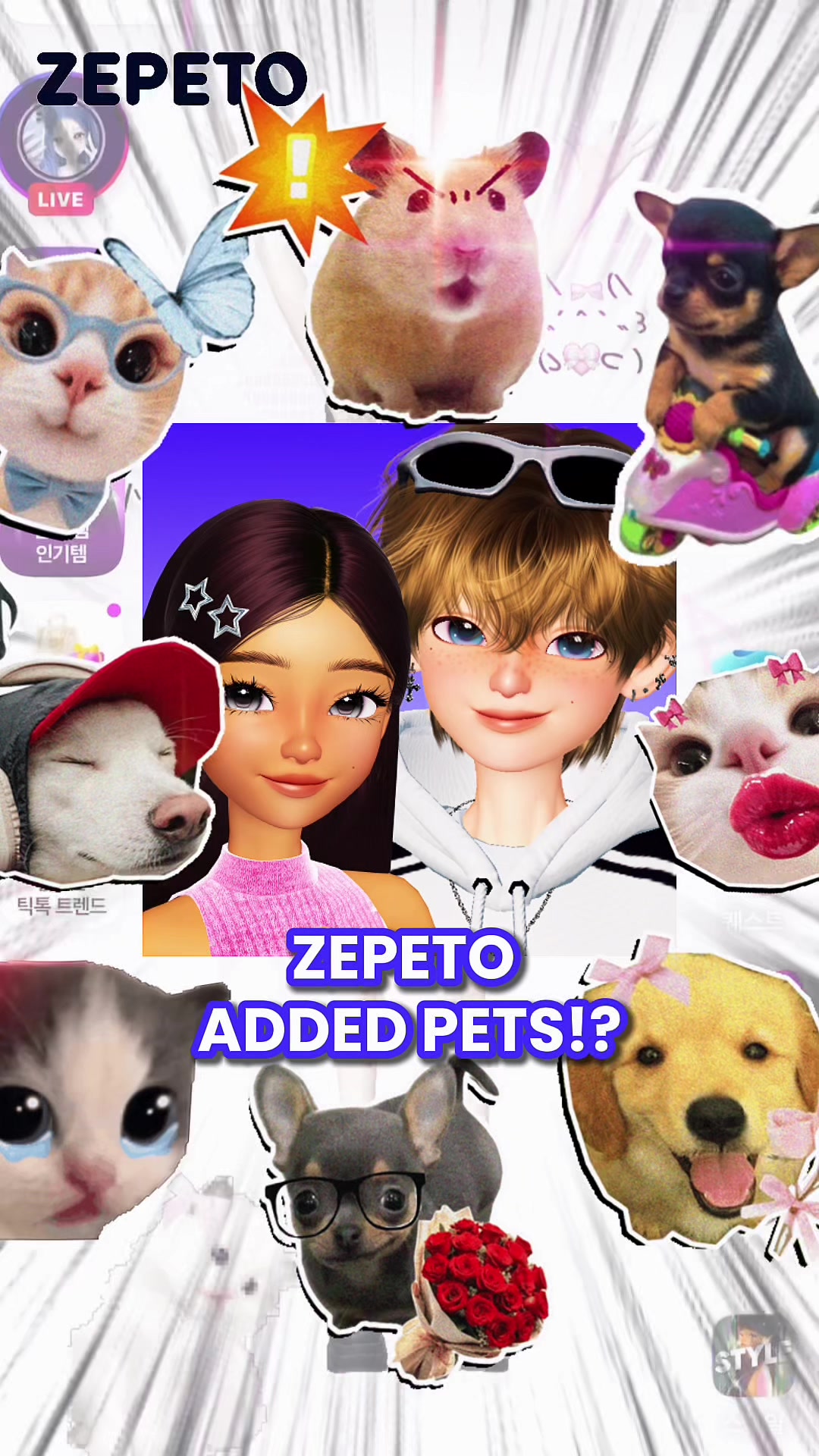 @ZEPETO USA Official