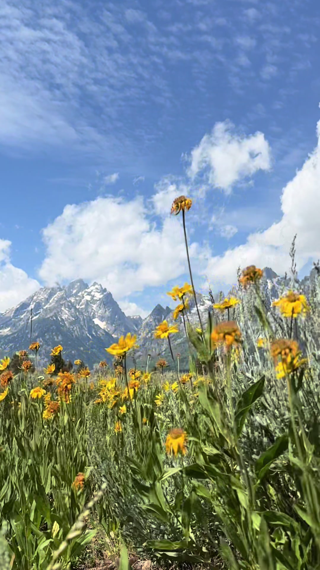 @Grand Teton Photo
