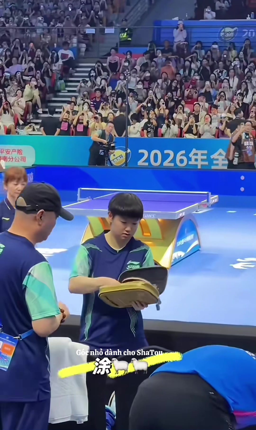 @Góc nhỏ dành cho ShaTou🦁🦈❤️