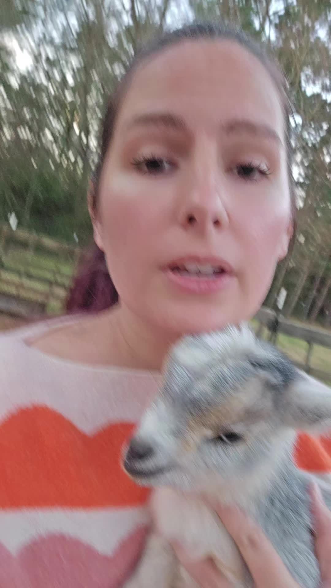 @Fairytale Farm