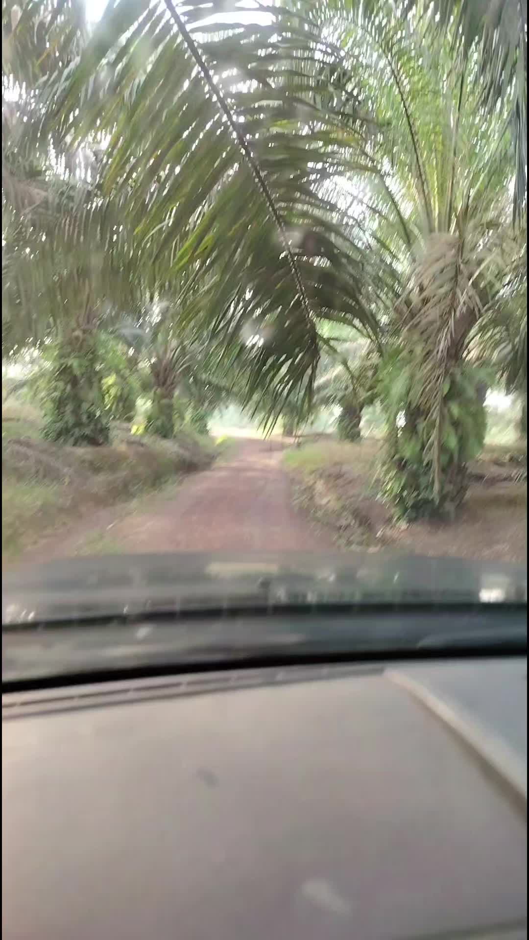 @rahamokhtar701