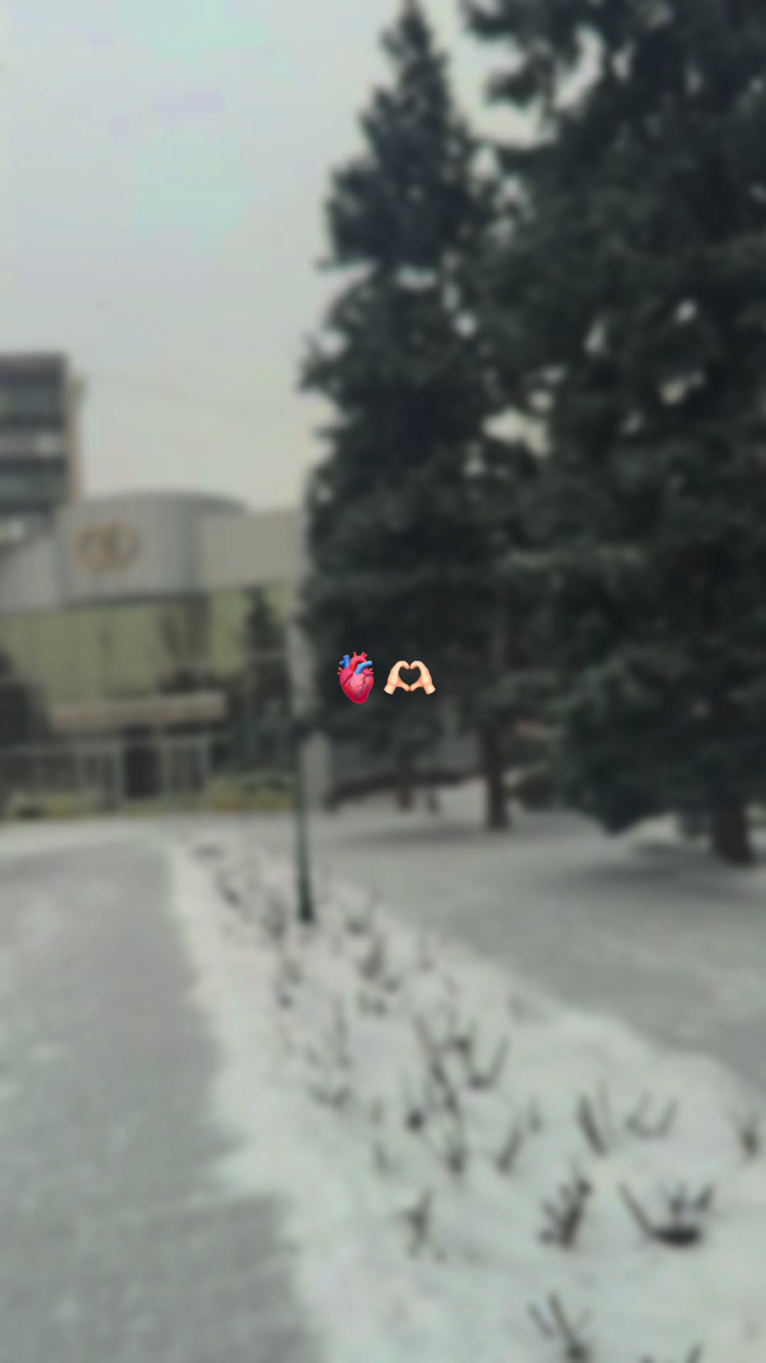 @Olegivna🫶🏻