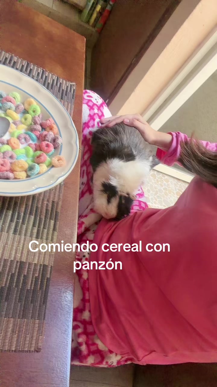 @Amanditititita