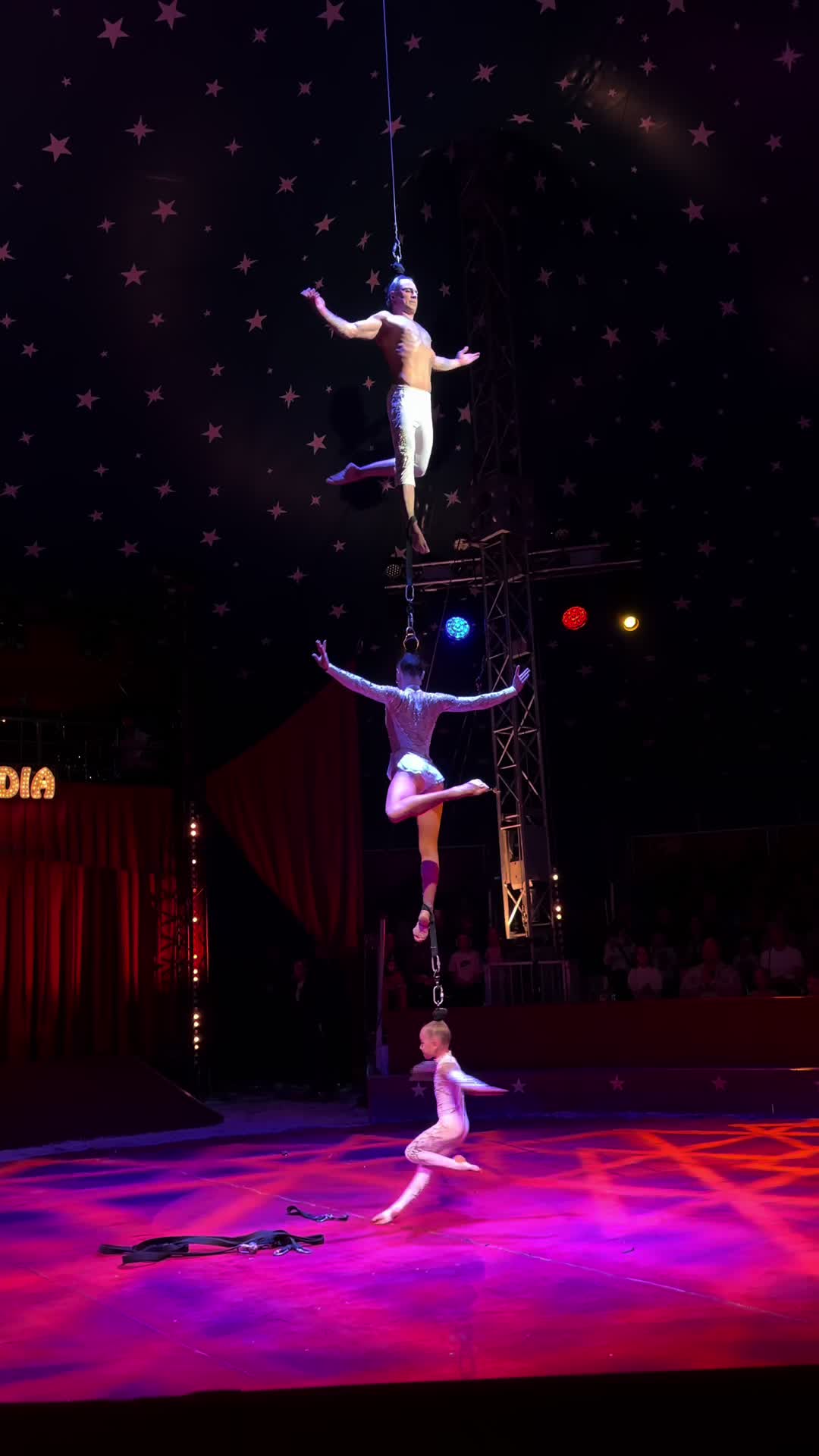 @wow_family_circus
