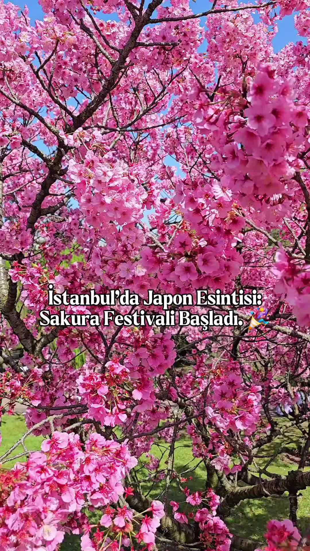 @duslerdeistanbul