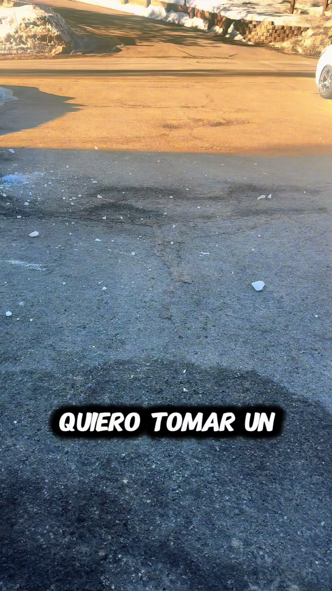 @SoyLionardo_R🐻❤️&zwj;🩹
