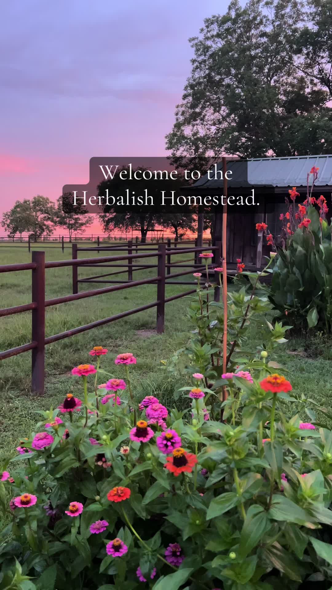 @herbalishapothecary
