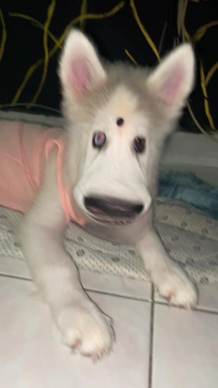 @๐๐พ๐๐พ ๐ง๐ปโ๏ธ