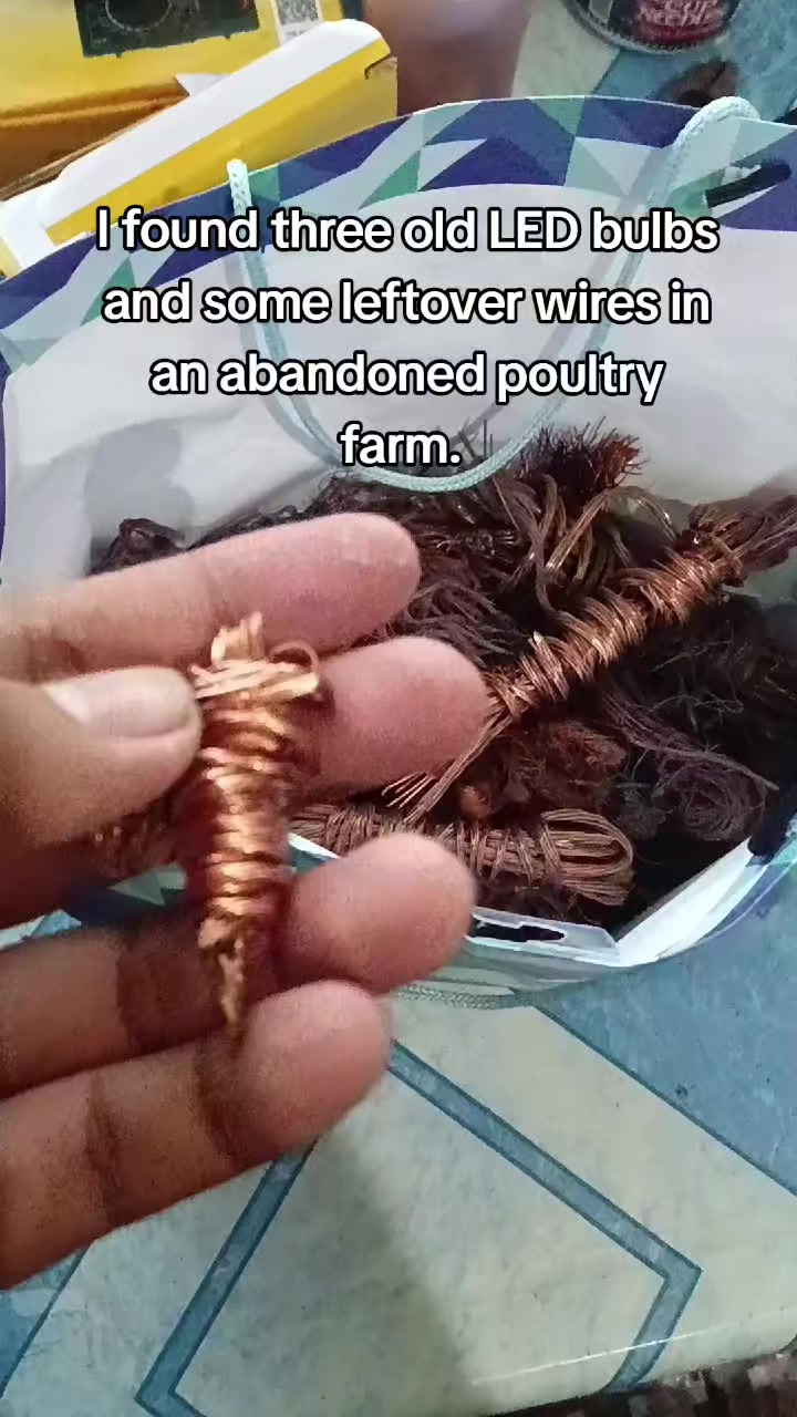 @Makoy na Koykoy 2