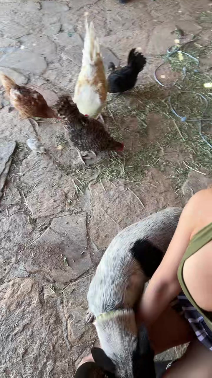 @urvaqueragf