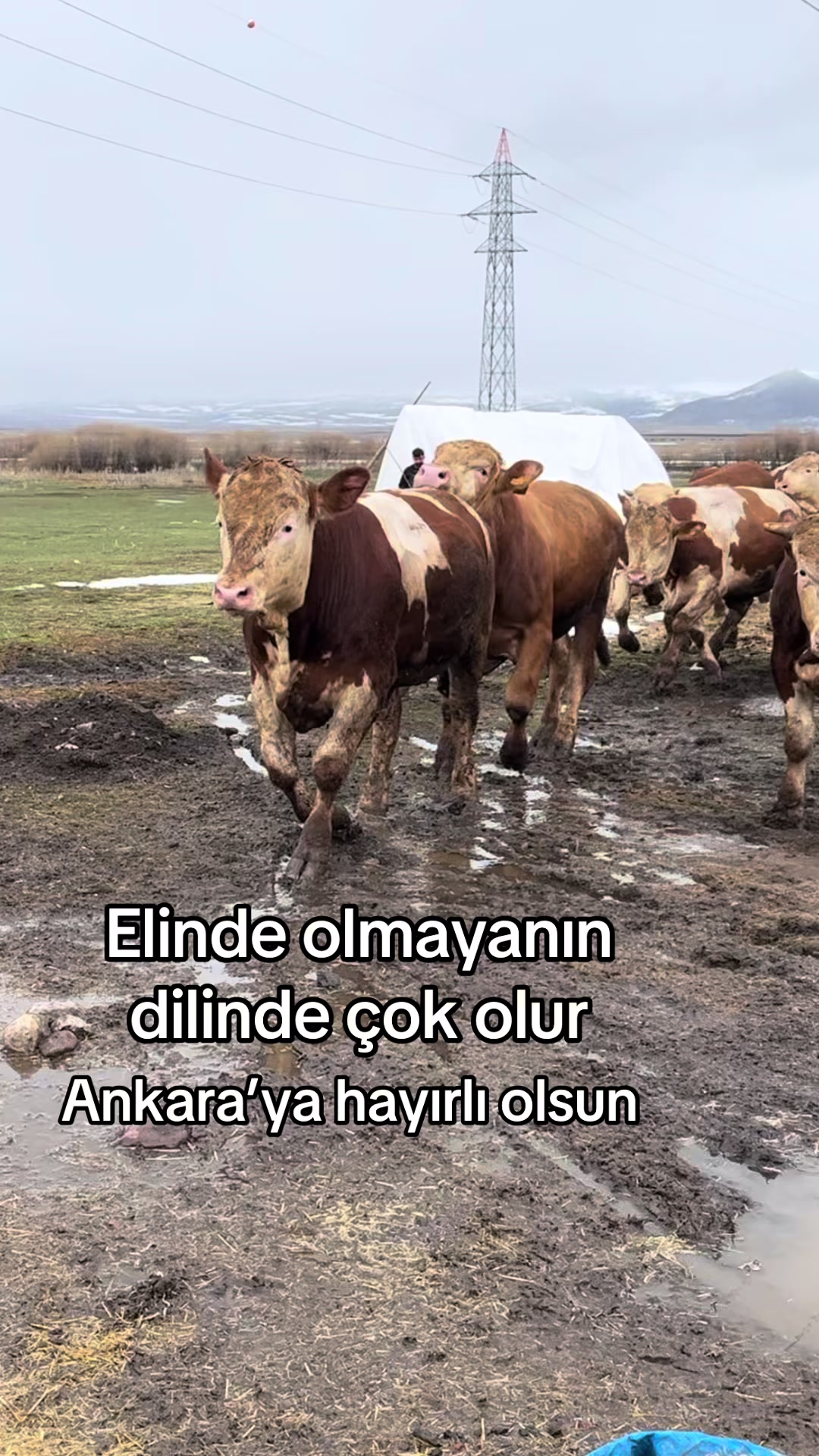 @BURKAY DEMİRBAŞ
