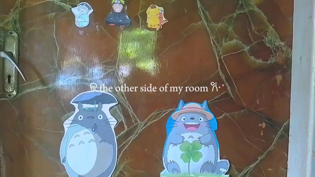 @𝐋𝐚𝐢𝐥𝐚 ☽⋆✧*̣̩