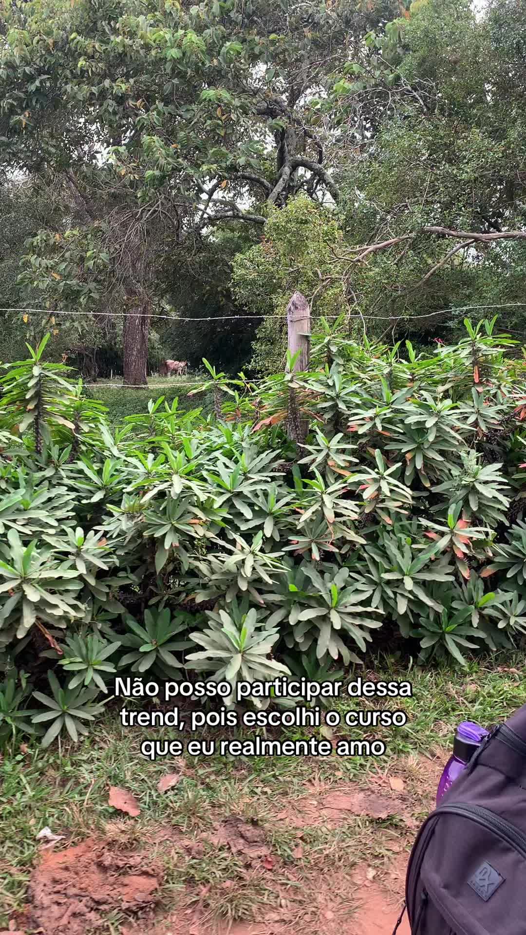 @Raissa