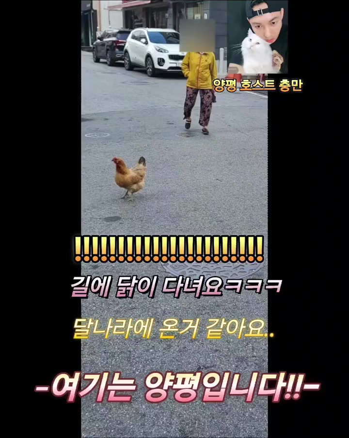 @👑🎙노래하는 DJ충만🎙👑 (보컬충만,본계)