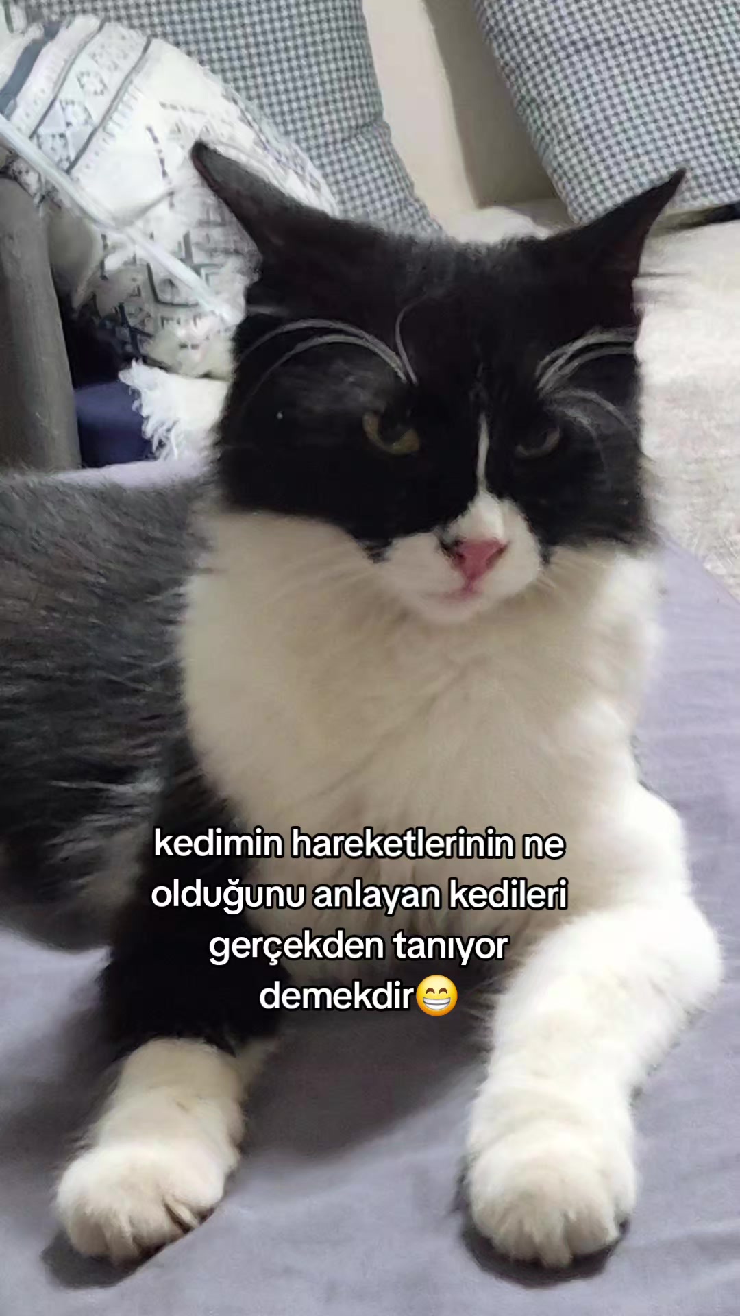 @kuzey