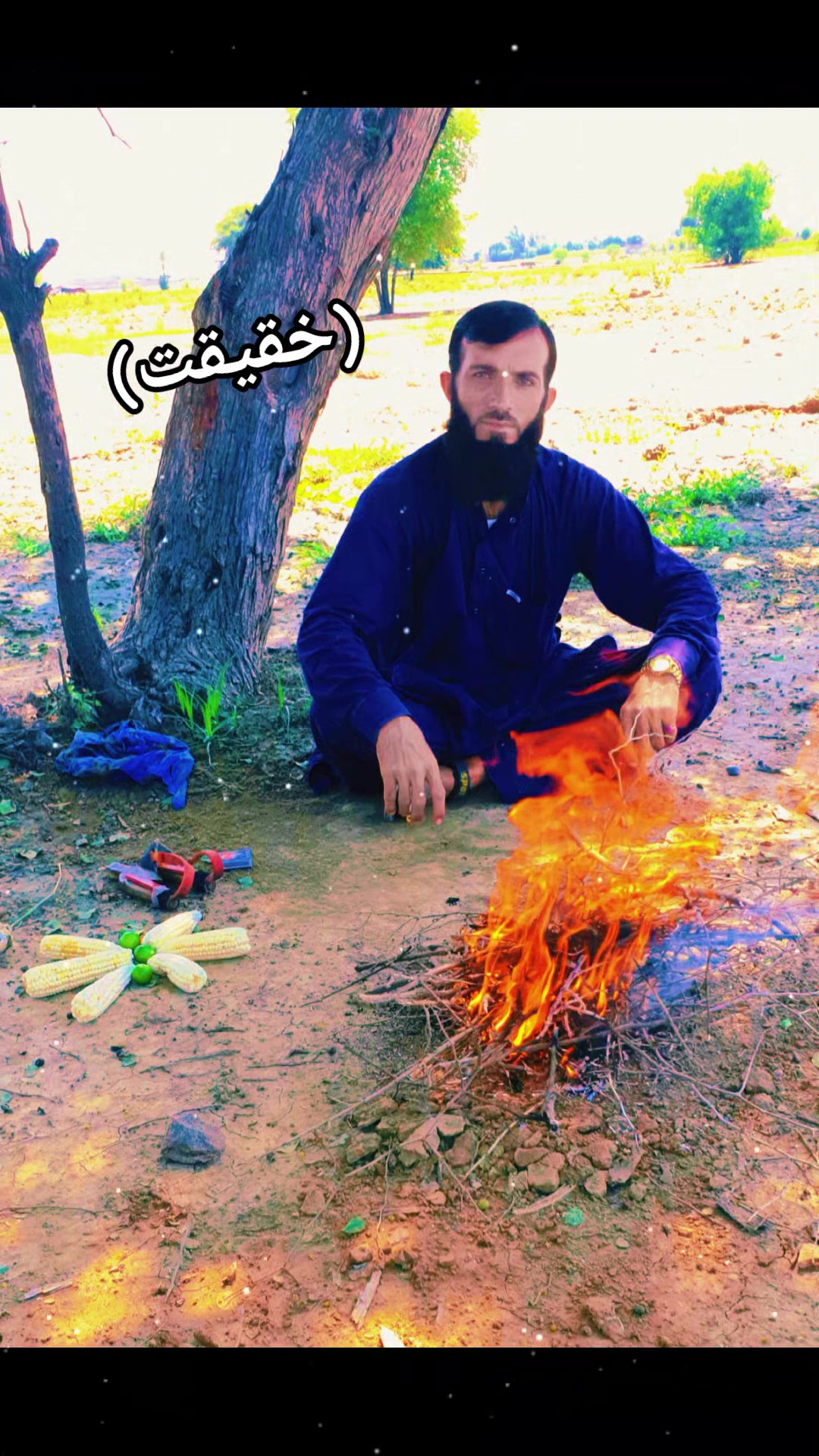 @Dilawer Zaman 804