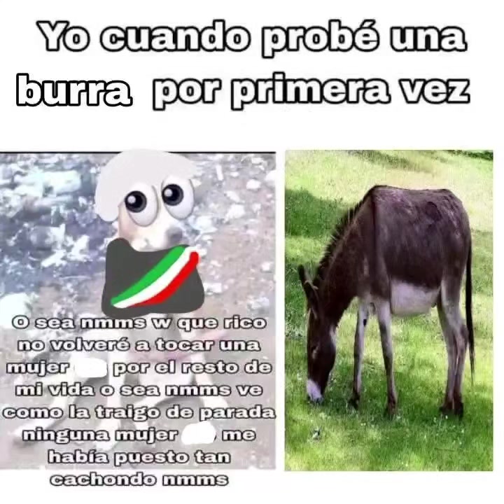 @Andy Mamarre