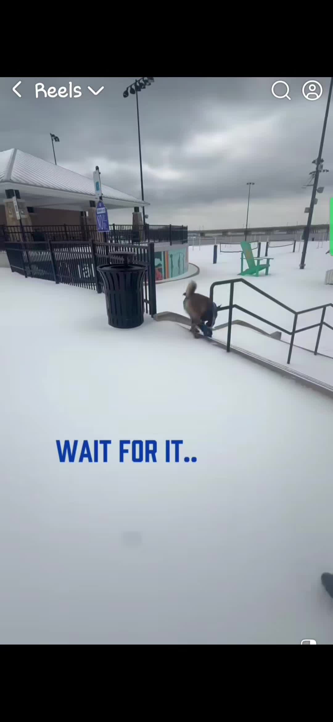 @BluePawsMatter