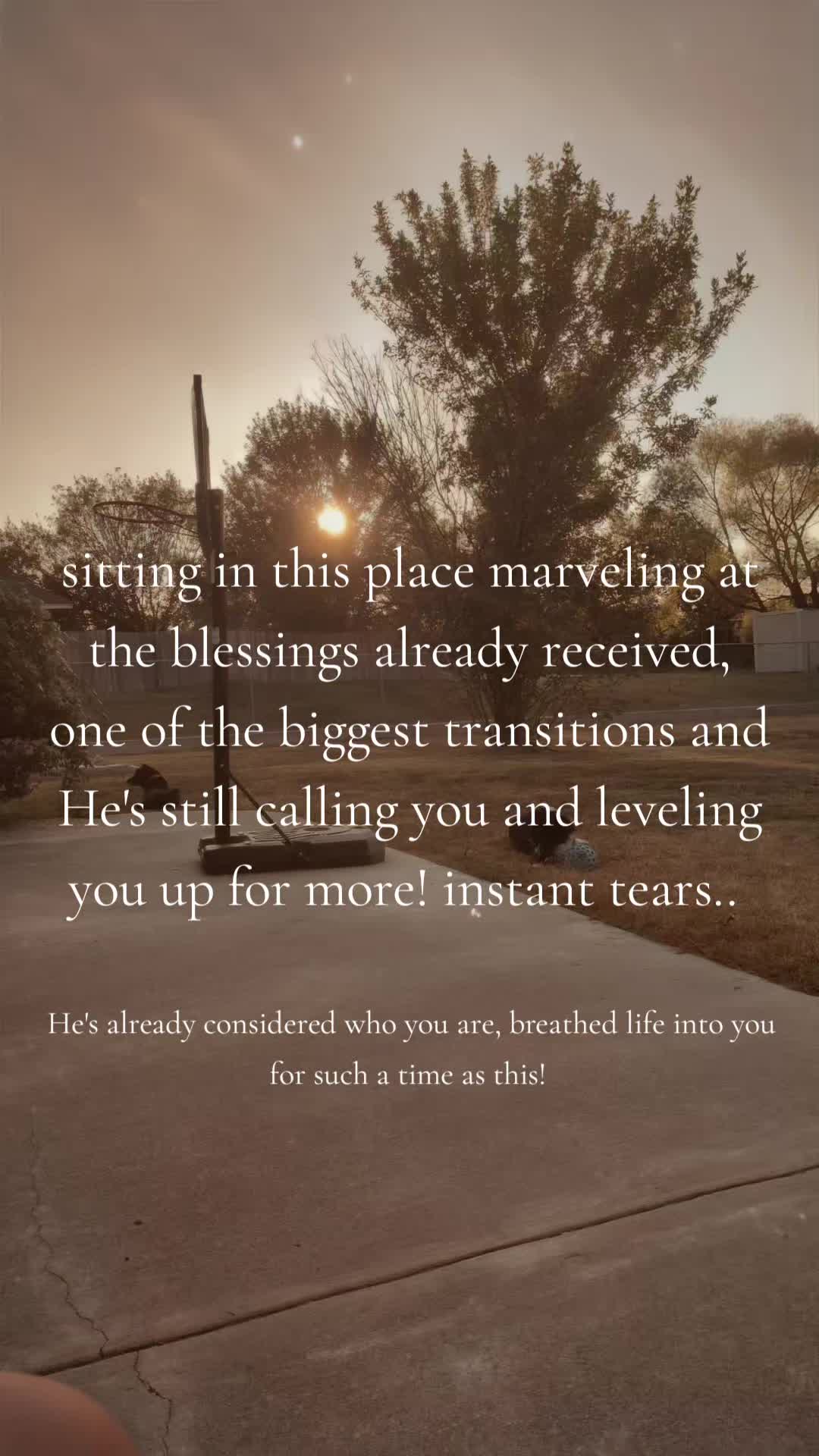 @~𝒦𝒶𝓉 ~