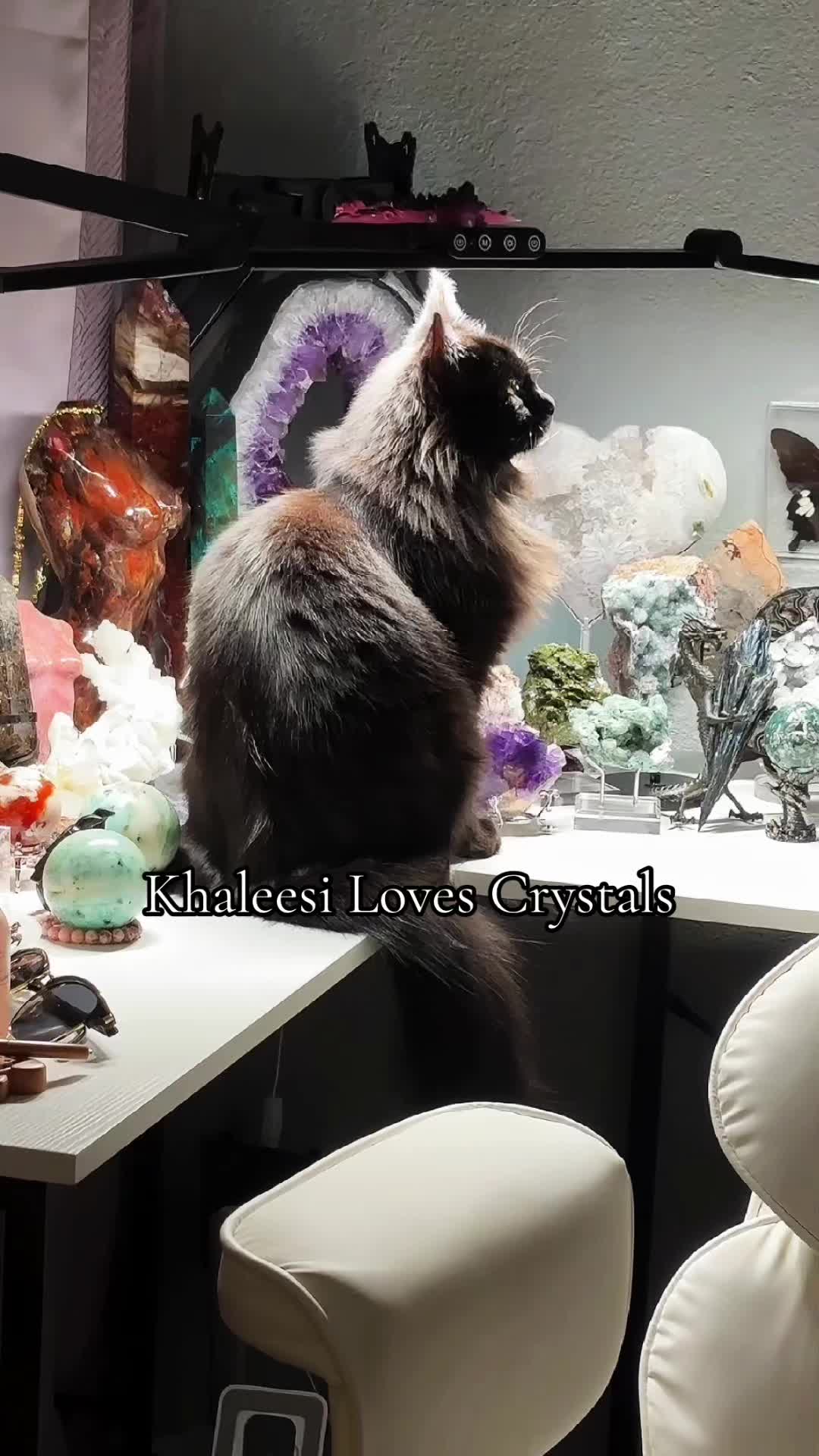 @Divine Crystal Timing (Alicia)