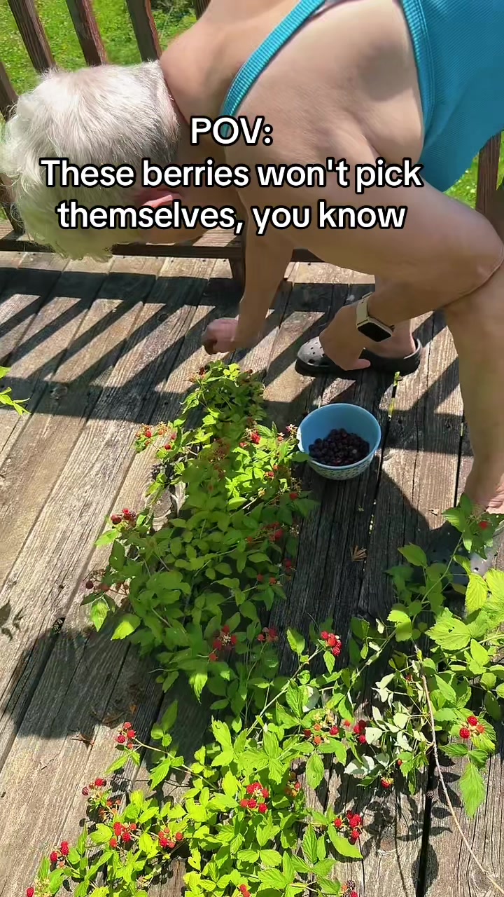 @Jaunty
