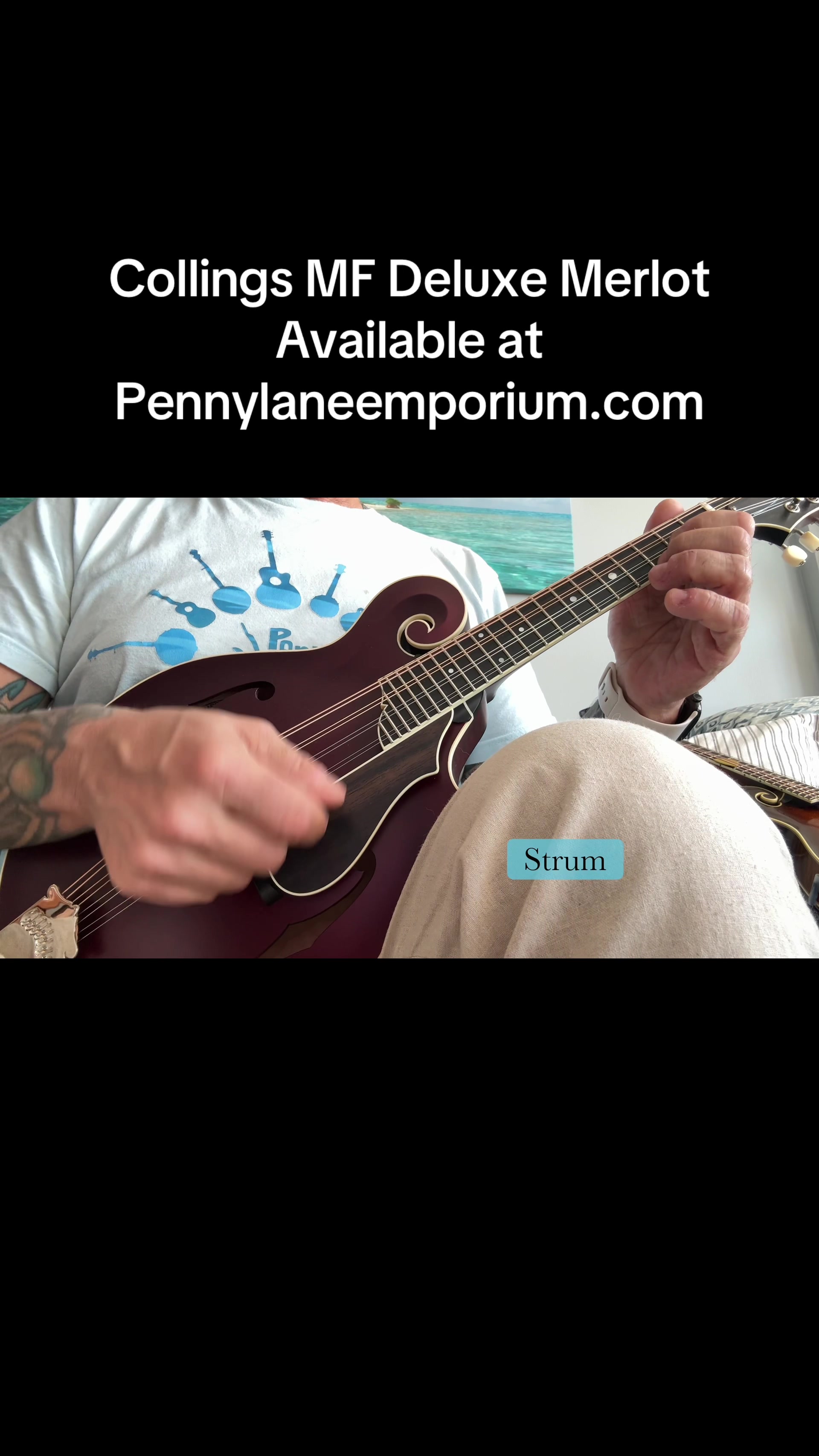 @Penny Lane Music Emporium